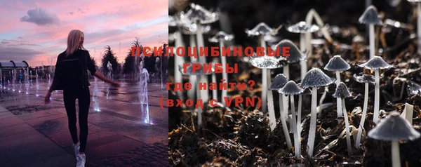 твердый Пролетарск
