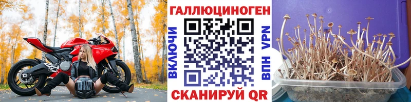 Купить закладки  Мурманск  Галлюциногенные грибы мицелий 